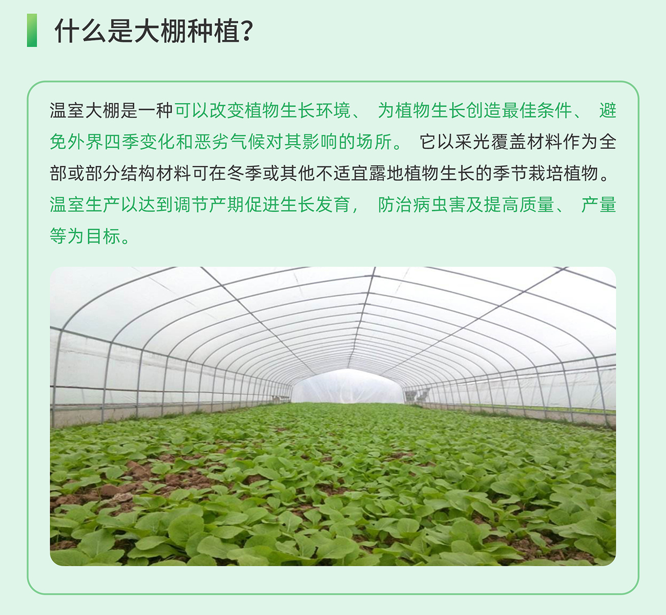 国产精品v欧美精品∨日韩