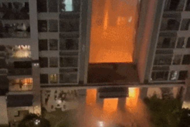 国产精品v欧美精品∨日韩